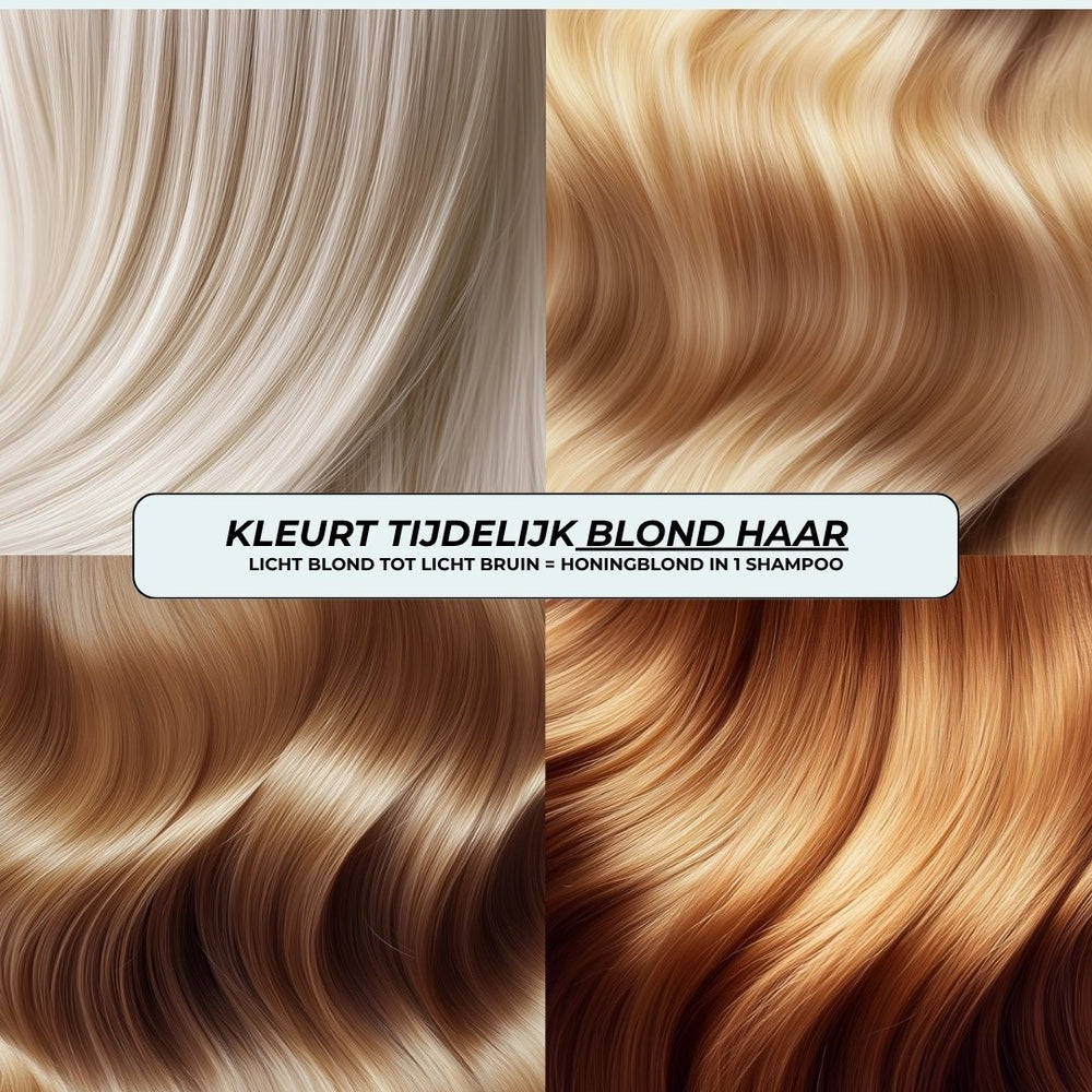 Shampoo Honing Blond