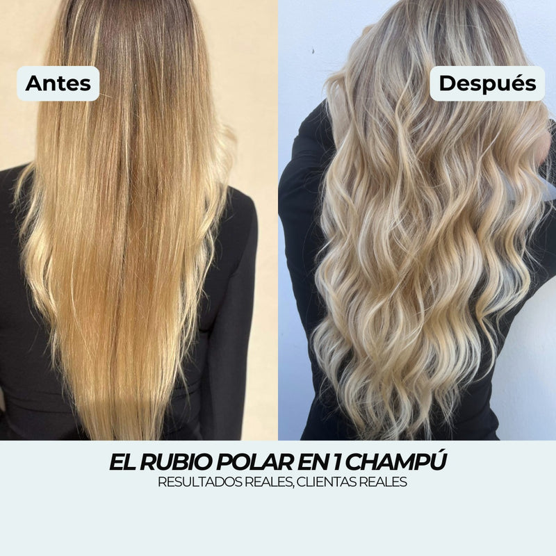 Antes y después del Champú Violeta: de rubio dorado con reflejos amarillos a un Rubio Polar frío en 1 lavado